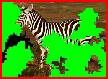 Zebra Puzzle